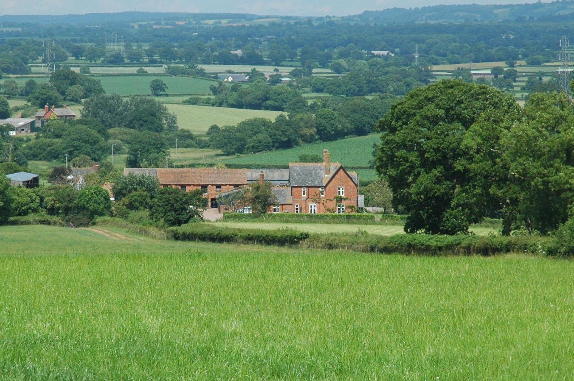 Newcourt Barton Villa Cullompton Exterior foto